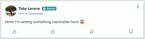 How to Report a Post 1a.png