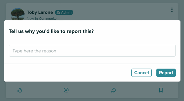 How to Report a Post 2a.png